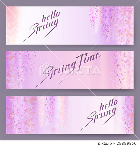 Spring background with blooming wisteria Spring background with blooming wisteria 29399856