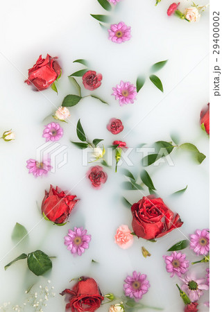 mix flower petals and leaves in milk bath 29400002