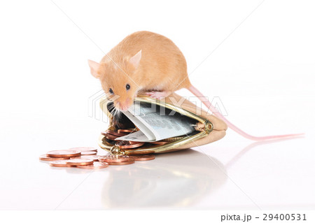 Mouse with a small purse and pocket money 29400531