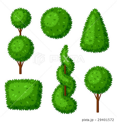 Boxwood topiary garden plants. Set of decorative 29401572