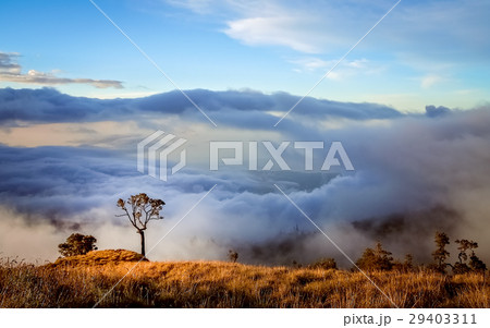 View From Gunung Rinjani View From Gunung Rinjani 29403311