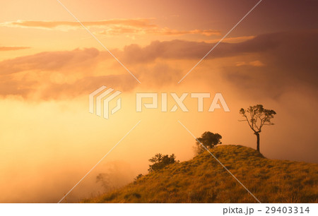View From Gunung Rinjani 29403314