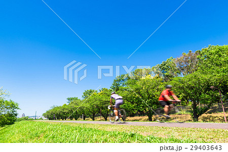 新緑の多摩川サイクリングロード 29403643