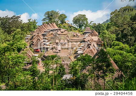 Bena Village in Flores 29404456