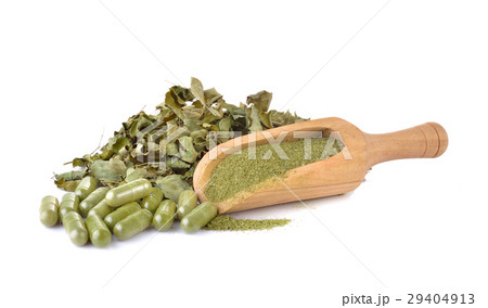 Dried Moringa leaf and powder - medicinal plant. 29404913