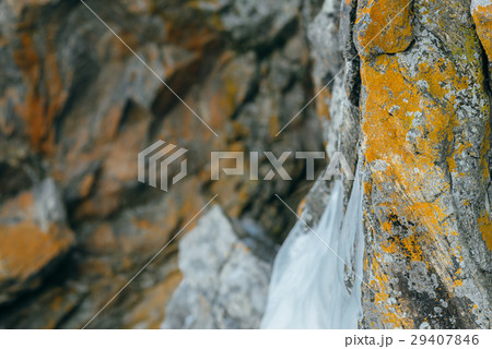 Rocky shore in frost-hardened lichens and ice. Rocky shore in frost-hardened lichens and ice. 29407846