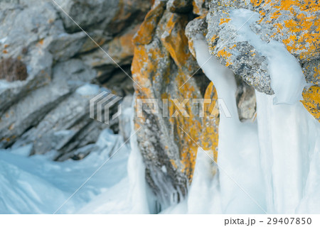 Rocky shore in frost-hardened lichens and ice. 29407850