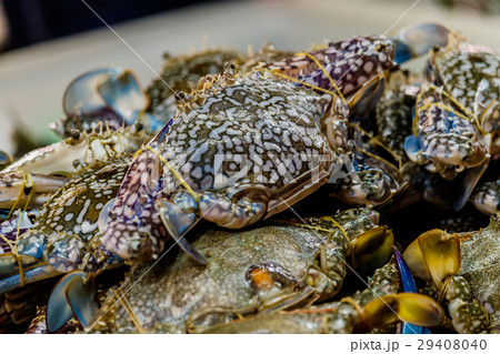 Fresh sea crabs are sold in local markets  29408040