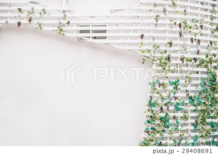 Green creeper background on white concrete wall Green creeper background on white concrete wall 29408691