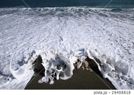 冬の海 波の花 冬の海 波の花 29408818