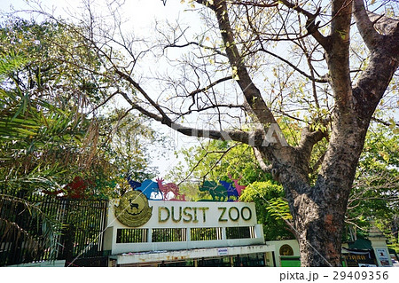 タイ国バンコクのドゥシット動物園のチケット売り場 タイ国バンコクのドゥシット動物園のチケット売り場 29409356