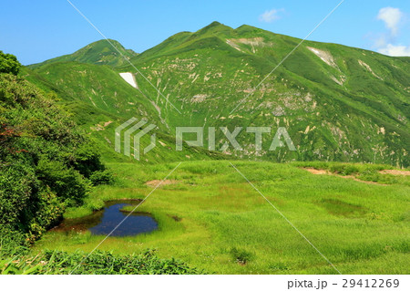 夏の飯豊連峰稜線 天狗の庭の湿原の写真素材