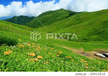 飯豊連峰・天狗岳付近の高山植物と飯豊本山 飯豊連峰・天狗岳付近の高山植物と飯豊本山 29412610