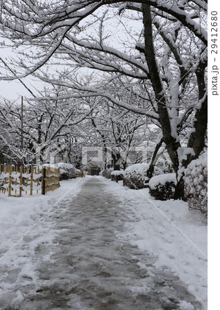 哲学の道 29412680