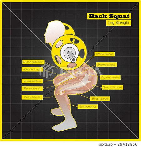 Antagonistic muscle exercises and Workouts 29413856