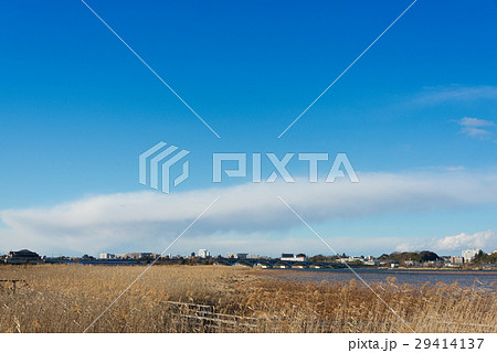 千葉県手賀沼近辺の青空 千葉県手賀沼近辺の青空 29414137