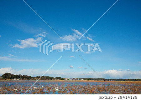 千葉県手賀沼近辺の青空 29414139