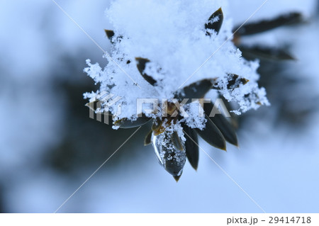 雪と凍てついたキャラ 29414718