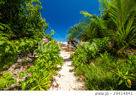 Beautiful beach at Seychelles 29414841