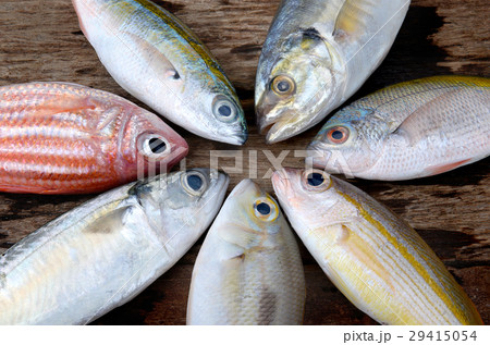 mix colorful fresh fishes 29415054