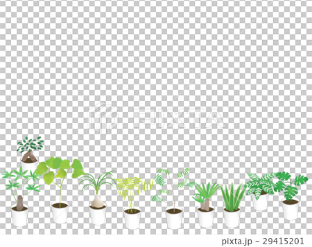 観葉植物 背景 イラスト 園芸のイラスト素材
