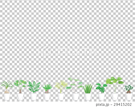 Houseplants lined up on the floor 29415202