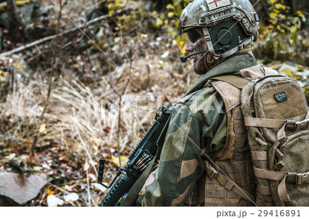 norwegian soldier in the forest 29416891