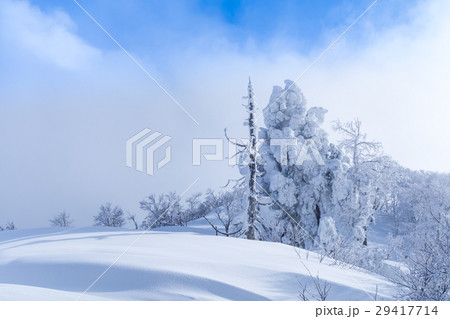 氷ノ山、三の丸付近。晴天の雪景色（兵庫県） 29417714