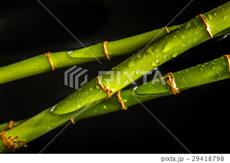 Bamboo water background Bamboo water background 29418798