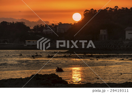 不知火の夕日 不知火の夕日 29419311