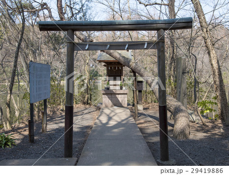 石神井公園内にある水神社（東京都練馬区） 29419886