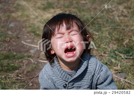 イヤイヤ期　2歳2か月 29420582