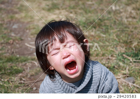 イヤイヤ期　2歳2か月 29420583