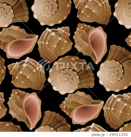 Graphic seashells pattern 29421350