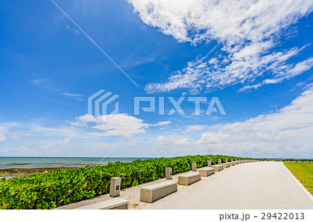 【沖縄県】南国イメージ 29422013