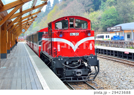 阿里山 愉快 快適 29423688