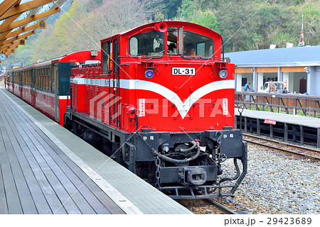 阿里山 愉快 快適 29423689