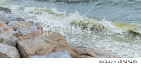 Sea wave with beach, Algal bloom in sea 29424285