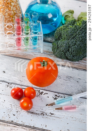Genetically modified food concept Genetically modified food concept 29426397