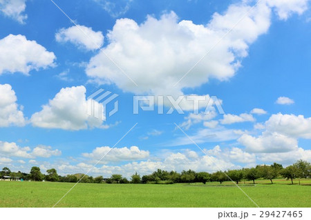 夏の青空と新緑の公園広場 夏の青空と新緑の公園広場 29427465
