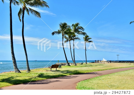 ハワイの休日 ハワイの休日 29427872