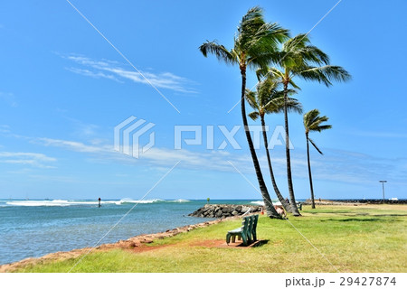 ハワイの休日 29427874