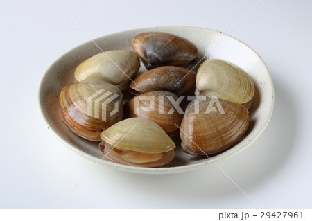 活バカガイ 活バカガイ 29427961