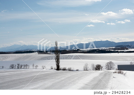 融雪剤が散布された畑 融雪剤が散布された畑 29428234