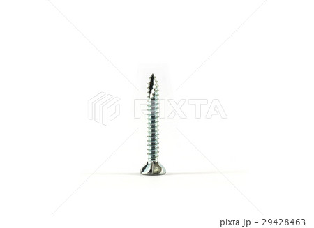 Close up screw  isolated on white background 29428463