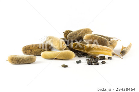Close up seeds of sunhemp on white background 29428464