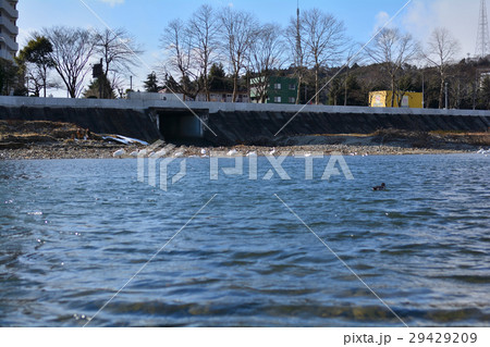 仙台・広瀬川 仙台・広瀬川 29429209