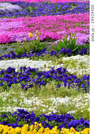 宮城・みちのく杜の湖畔公園 29429400