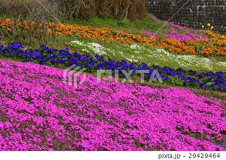 宮城・みちのく杜の湖畔公園 29429464