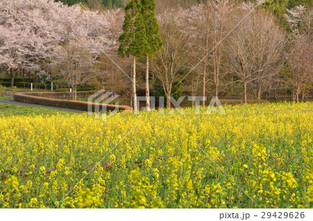 宮城・みちのく杜の湖畔公園 29429626